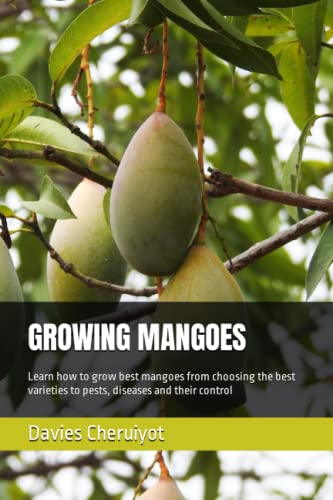 Growing the Best Mangoes: Varieties, Pests, and Disease Control