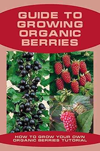 Growing Organic Berries Tutorial: Complete Guide to Berry Gardening