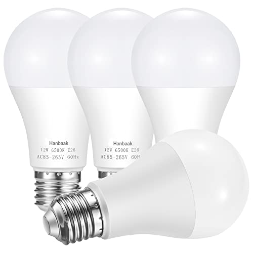 Hanbaak 100W LED Light Bulb, 12W, Daylight White, 4-Pack