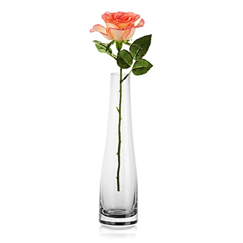 Clear Glass Single Stem Bud Vase for Wedding Reception and Dining Table