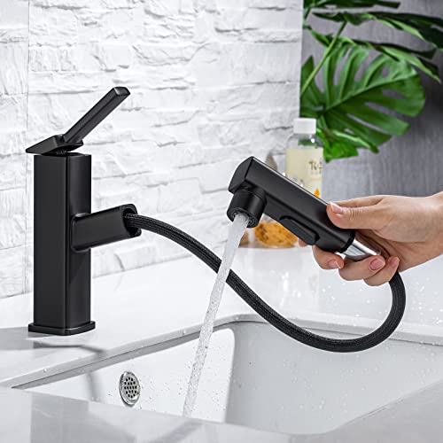 HANLIAN Single Hole Pull Out Faucet for Bathroom Sink