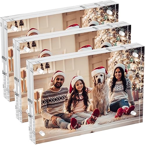  labphant 10 Pack 5x7 Inch Magnetic Picture Frames