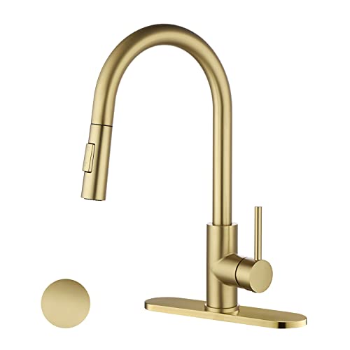 Havin Gold Kitchen Faucet with Pull Down Sprayer