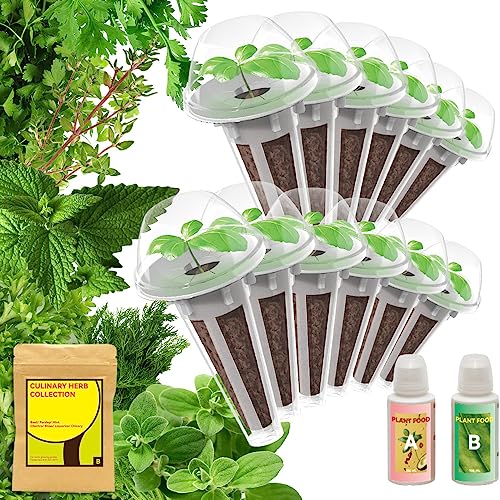 Herb Seed Starter Pod Kit for Indoor Hydroponic Gardening