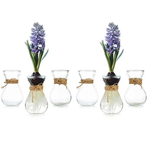 Hewory Small Glass Vases for Centerpieces