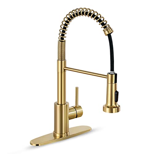 HGN Brushed Gold Kitchen Faucet
