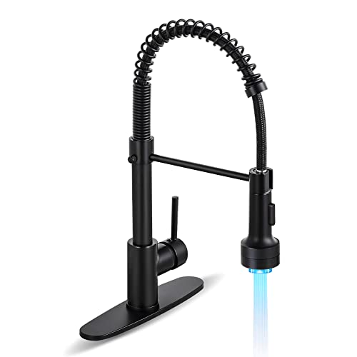 HGN Kitchen Faucet with LED Light Sprayer