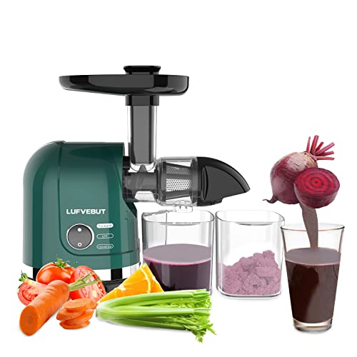 High-Yield Masticating Juicer with Easy Cleaning