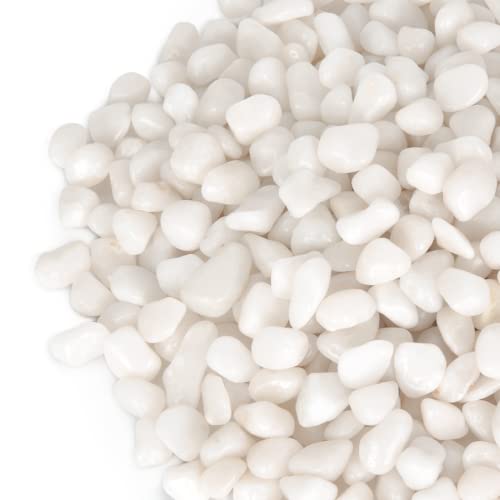 Highly Polished White Pebbles for Indoor Plants