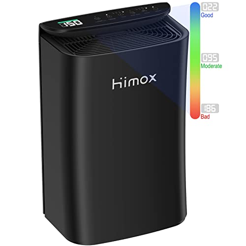 HIMOX Large Room Air Purifier