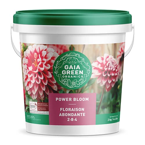 HollandBasics Power Bloom Fertilizer 2kg