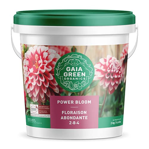 9 Best Bloom Fertilizer for 2024 Storables
