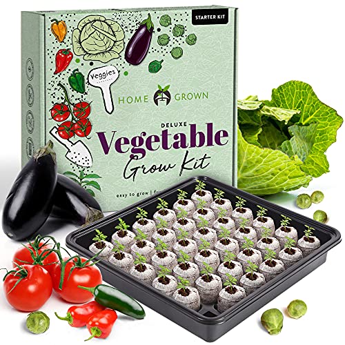 Home Grown Vegetable Garden Starter Kit 61XgN3soSdL 