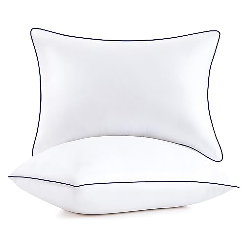 HomeMate Queen Size Bed Pillows - Set of 2 Allergy Friendly Microfiber Shell Fluffy Down Alternative Filling