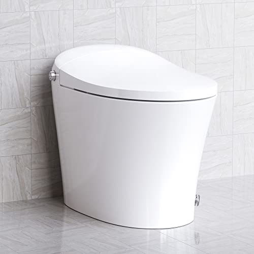 HOROW Smart Toilet with Heated Bidet