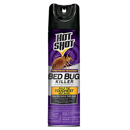Hot Shot Bed Bug Killer Aerosol