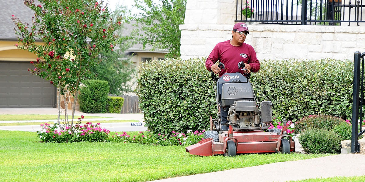 How And When To Do Lawn Care In Texas