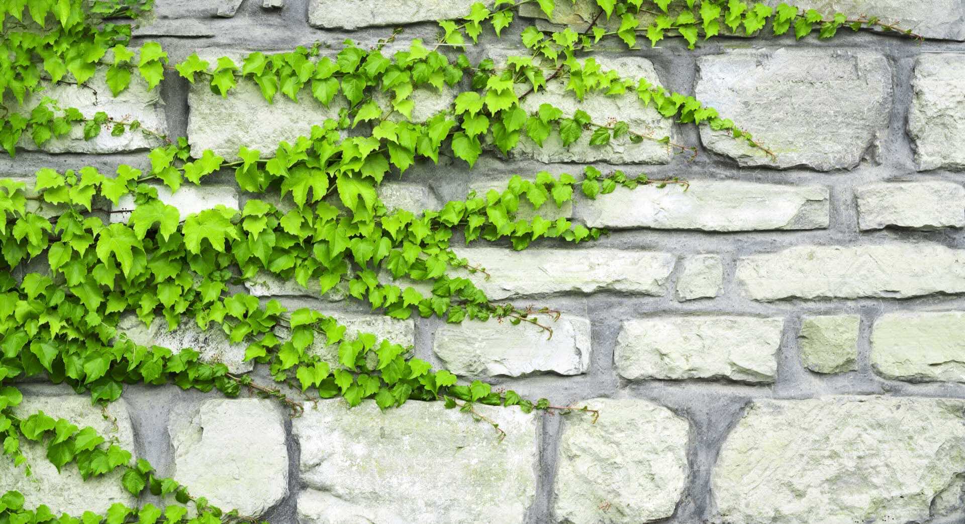 How Do You Hang Greenery On Brick?