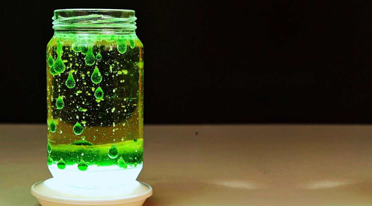 How Does A Homemade Lava Lamp Work?