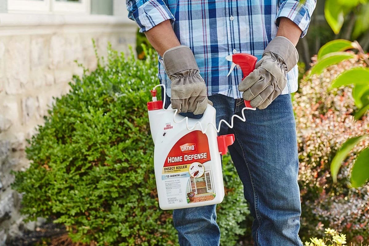 How Long Can I Spray Home Defense Before It Rains Storables