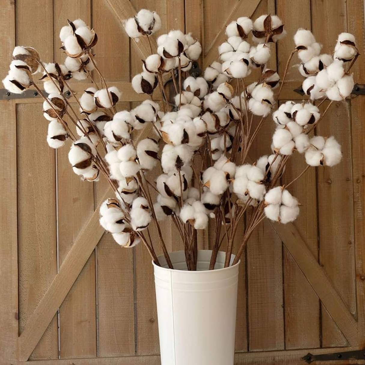 How Long Do Cotton Stems Last In Floral Arrangements