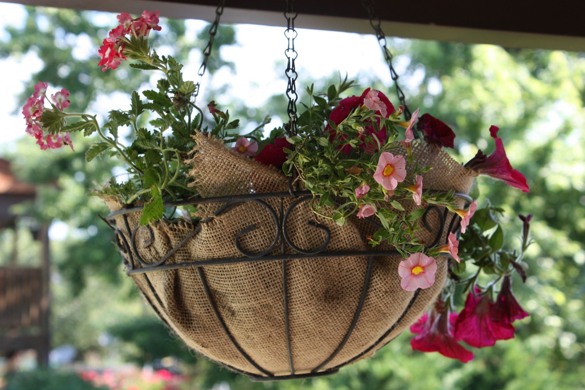 How Long Do Hanging Flower Baskets Last?