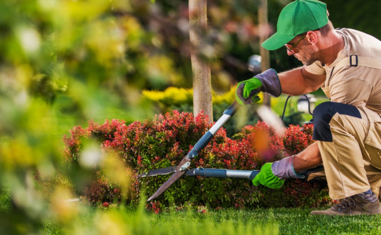 How Much Does It Cost To Start A Landscaping Business