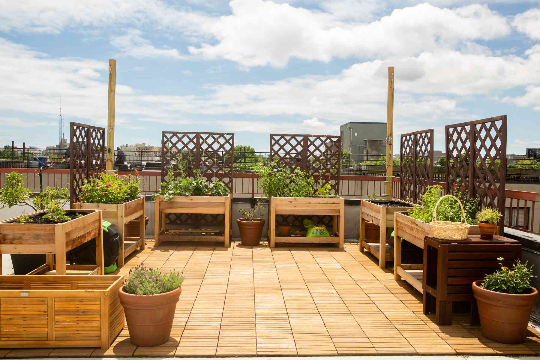 How Much Weight Can A Rooftop Garden Hold?