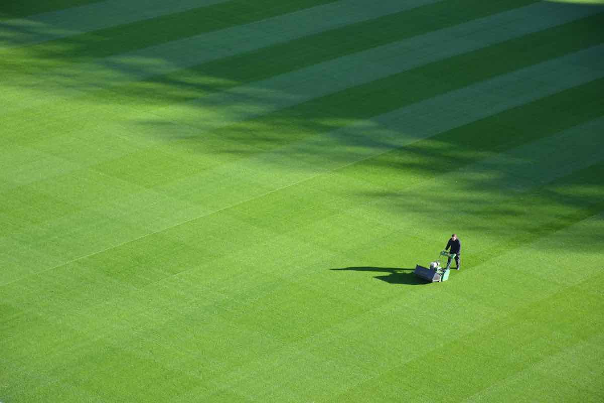 How To Bid For Commercial Lawn Care