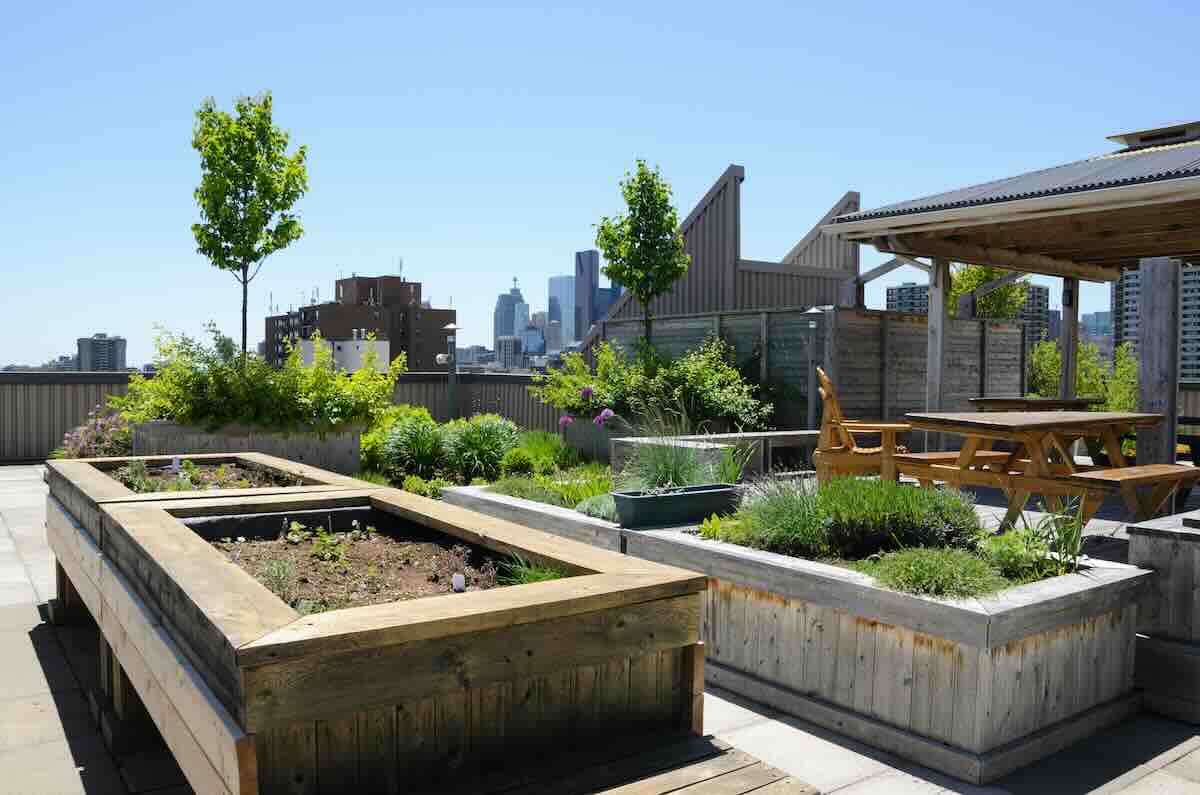 How To Build A Rooftop Garden?