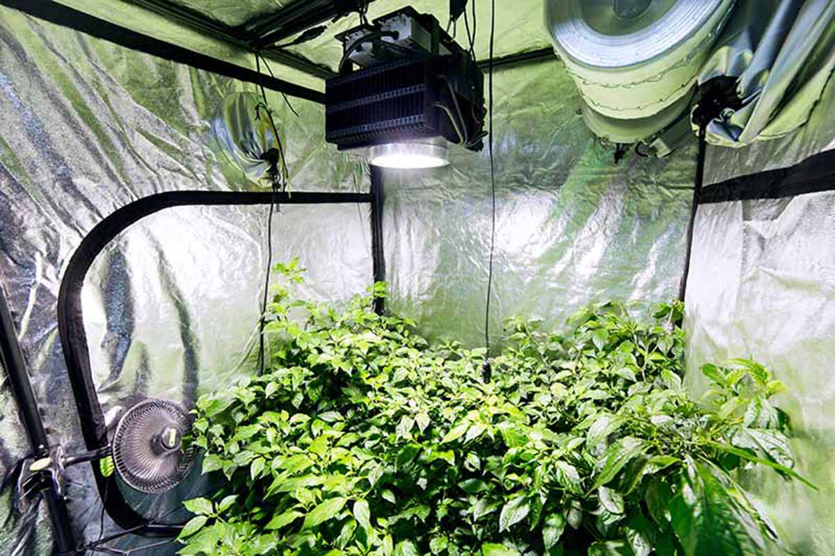 How To Build A Ventilation System For A Grow Room
