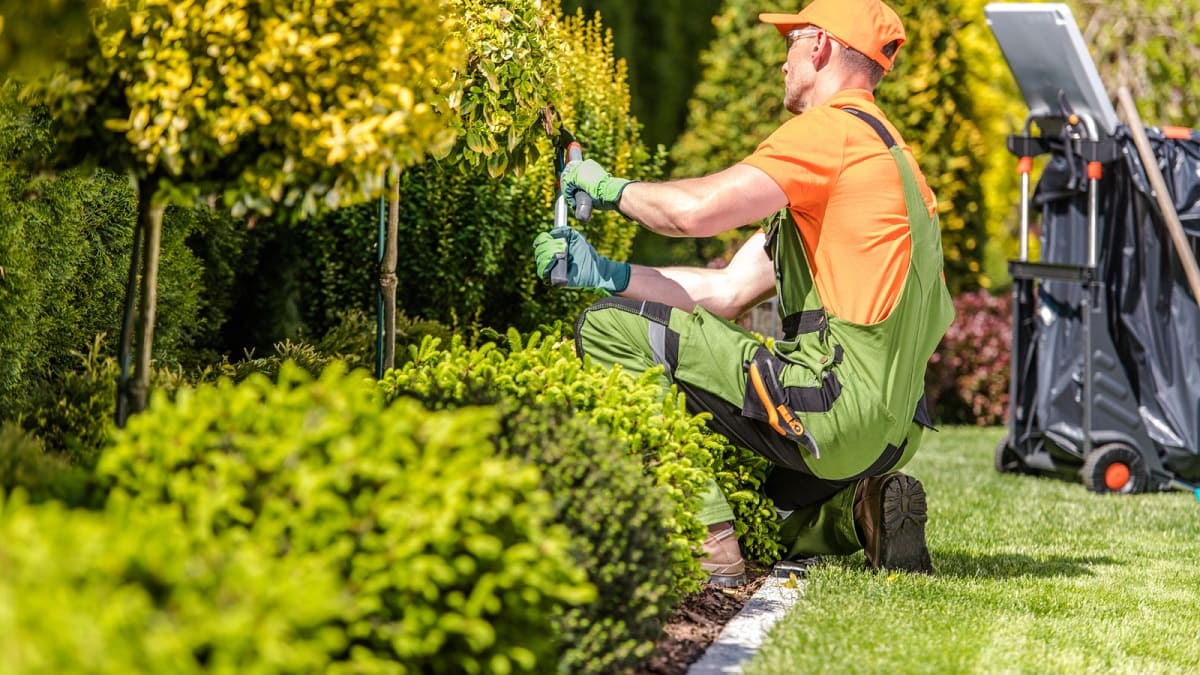 How To Choose A Lawn Care Service