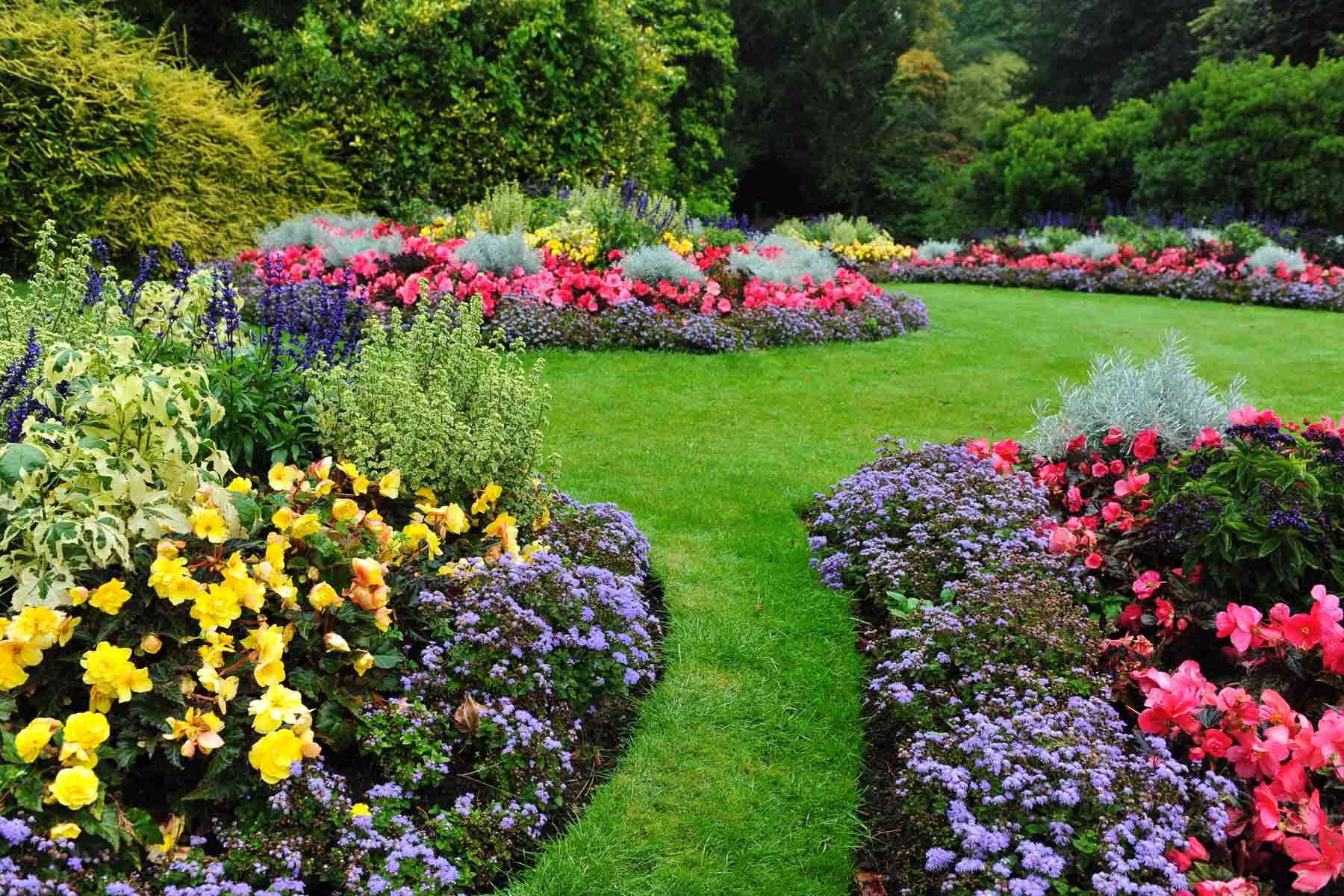 How To Choose Plants For Landscaping