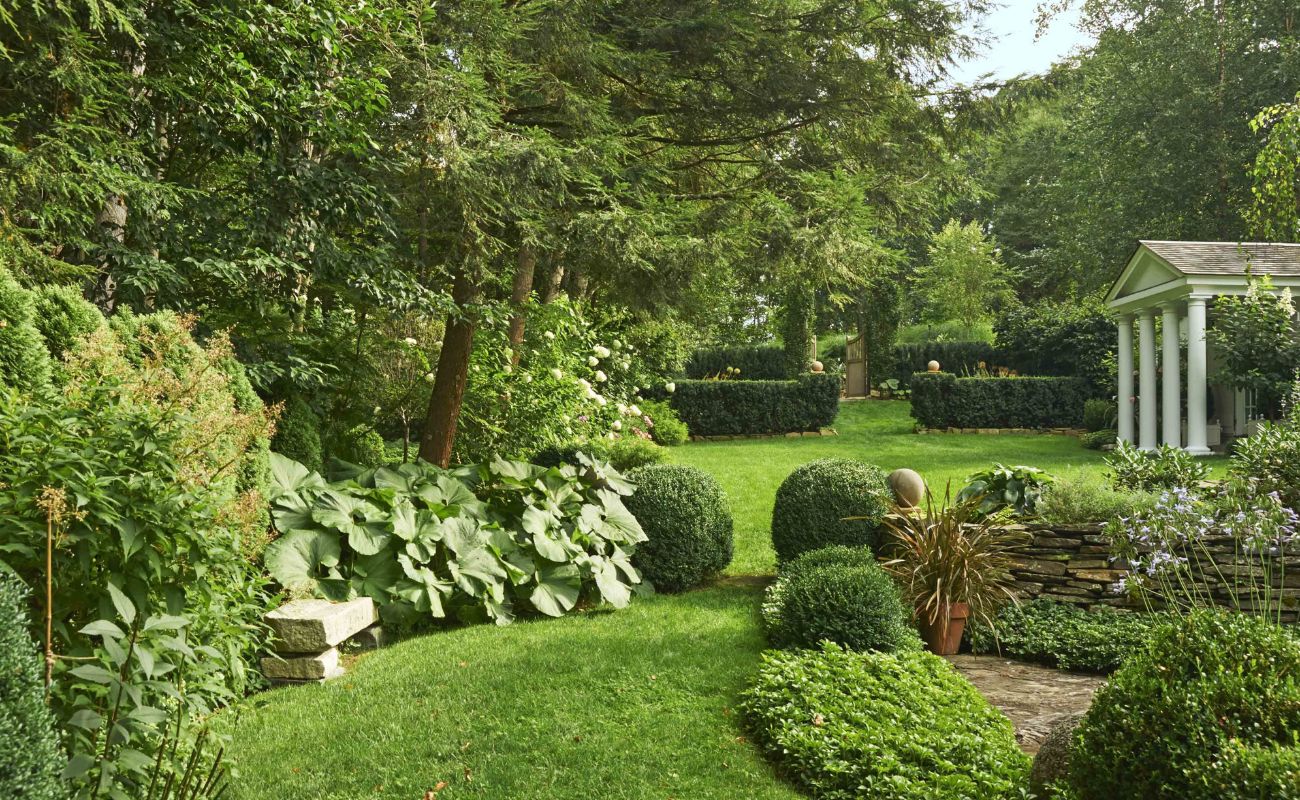 How To Clear A Yard For Landscaping