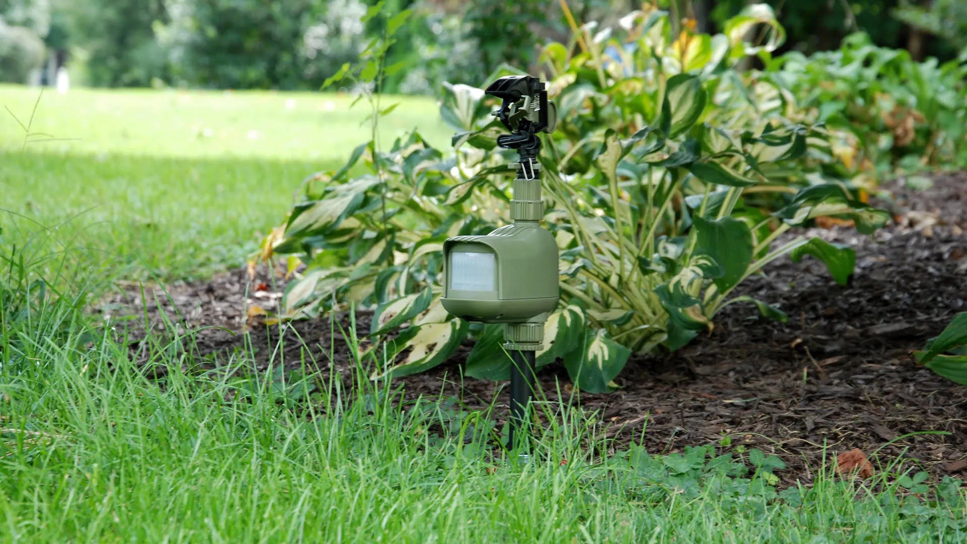How To Connect A Motion Detector To A Sprinkler System