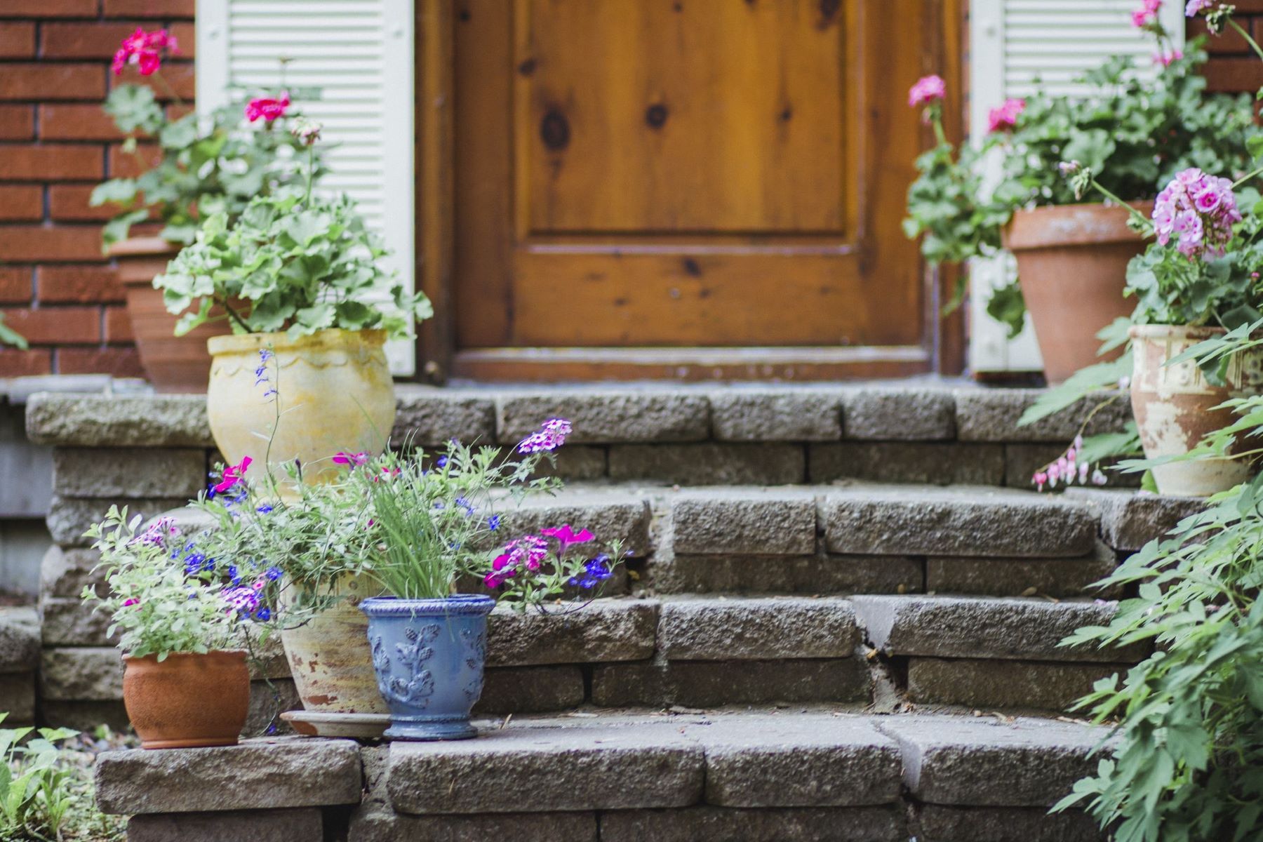 How To Design Plants In Front Of A House