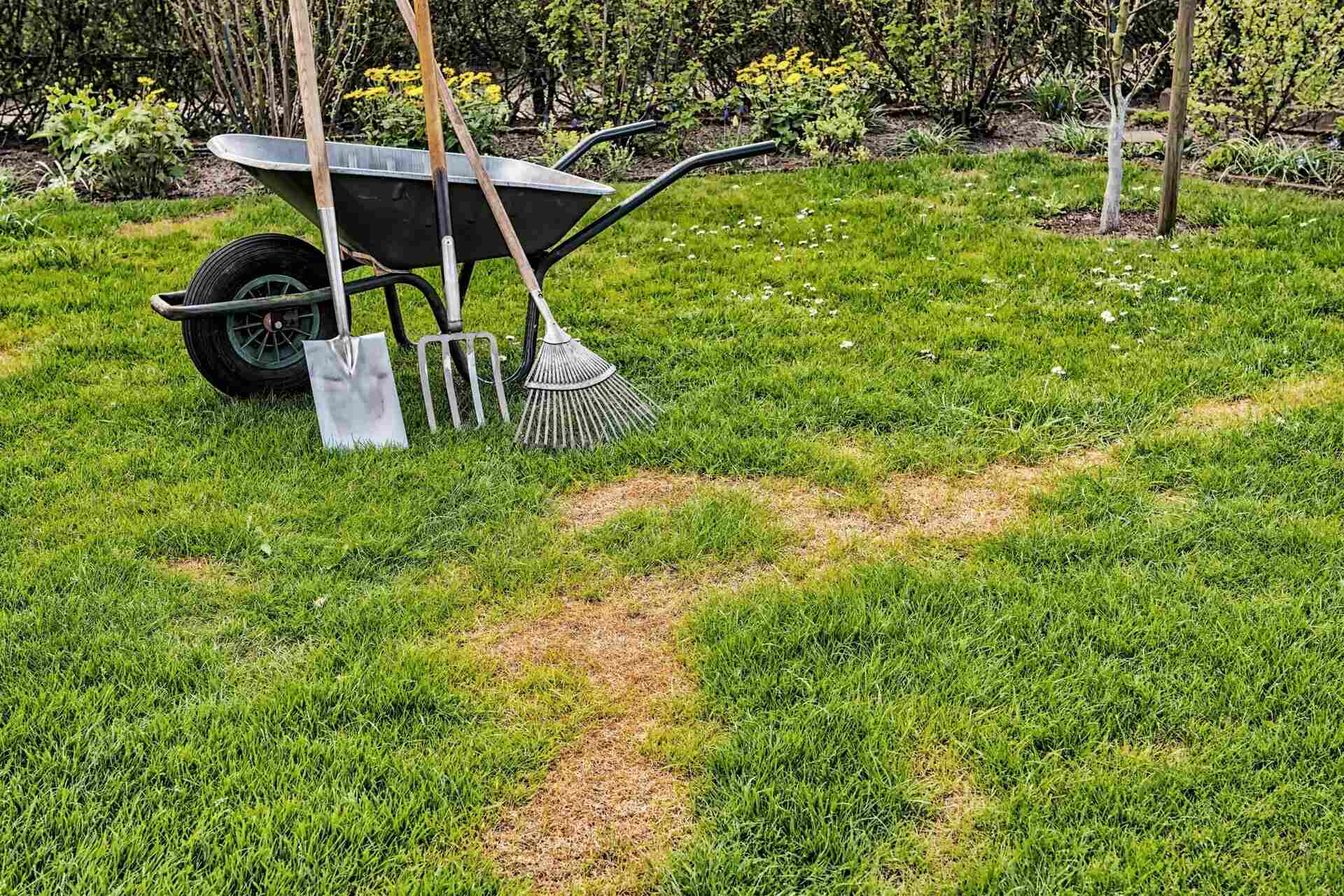 How To Do A Lawn Renovation