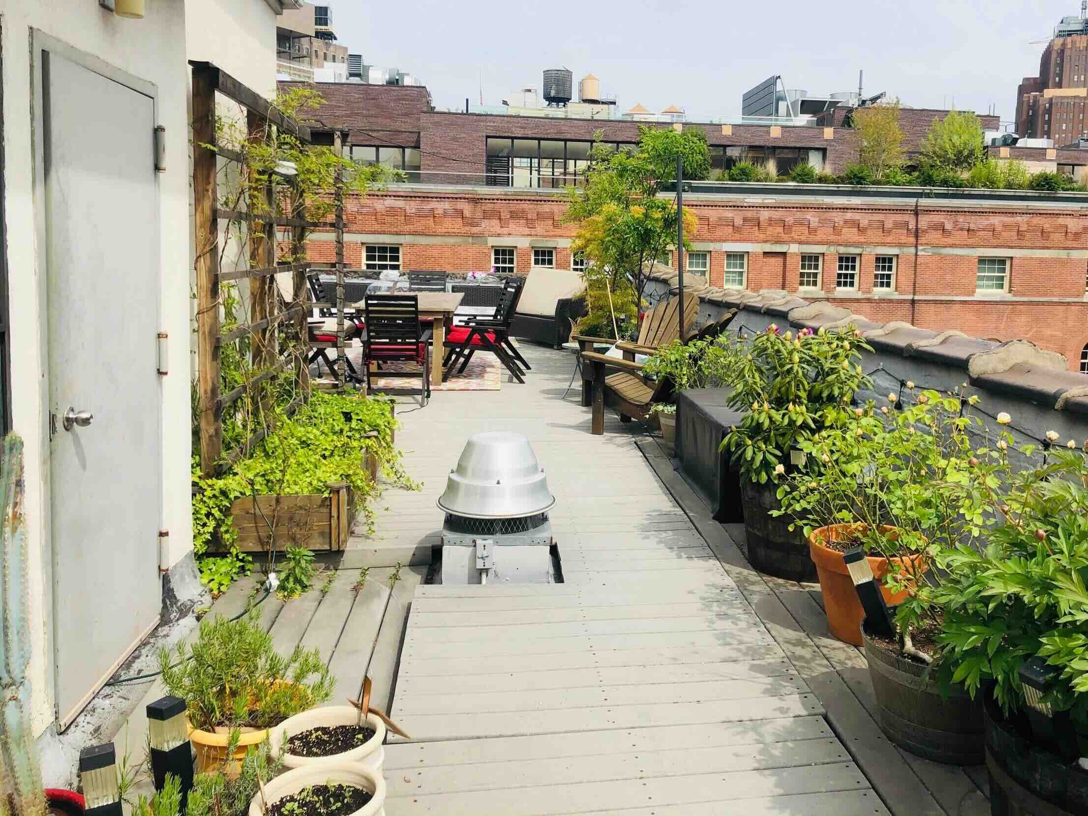 How To Do A Rooftop Garden In NYC