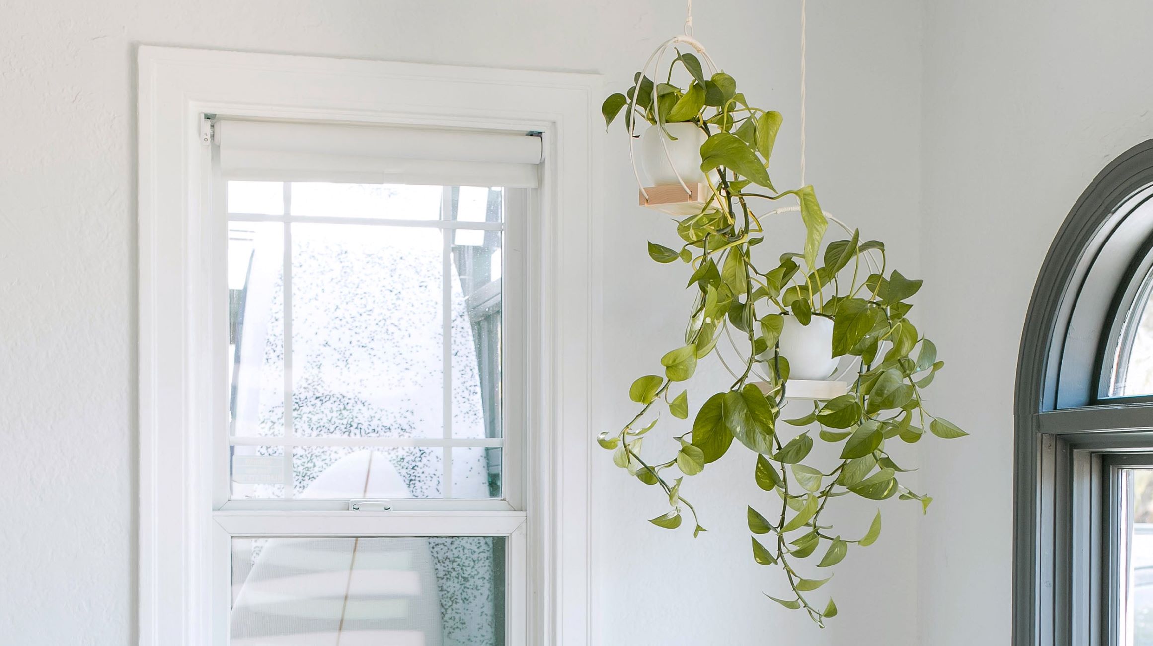 How To Ensure Good Drainage In Indoor Hanging Plants