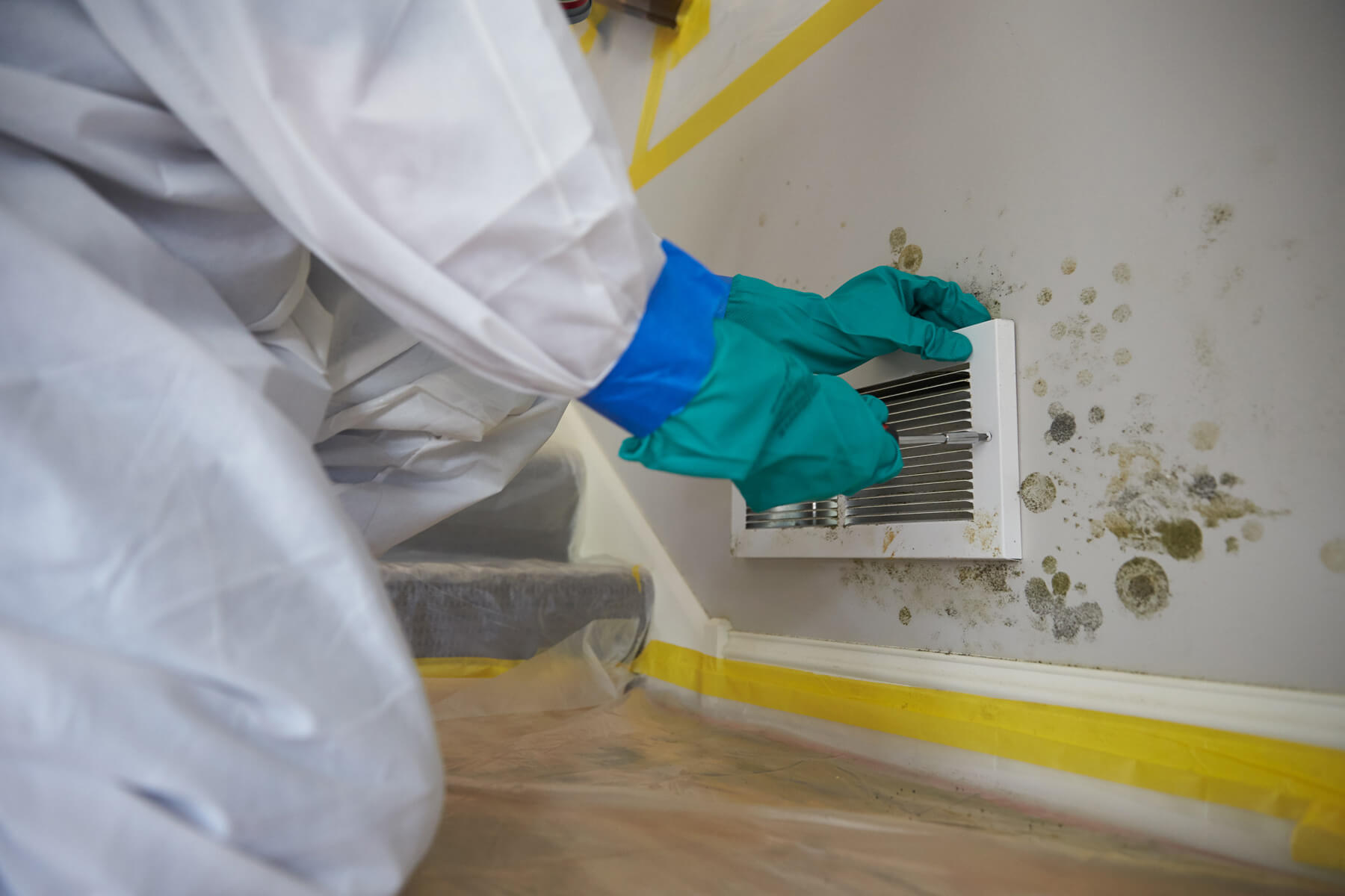 How To Find Mold In The House Ventilation System