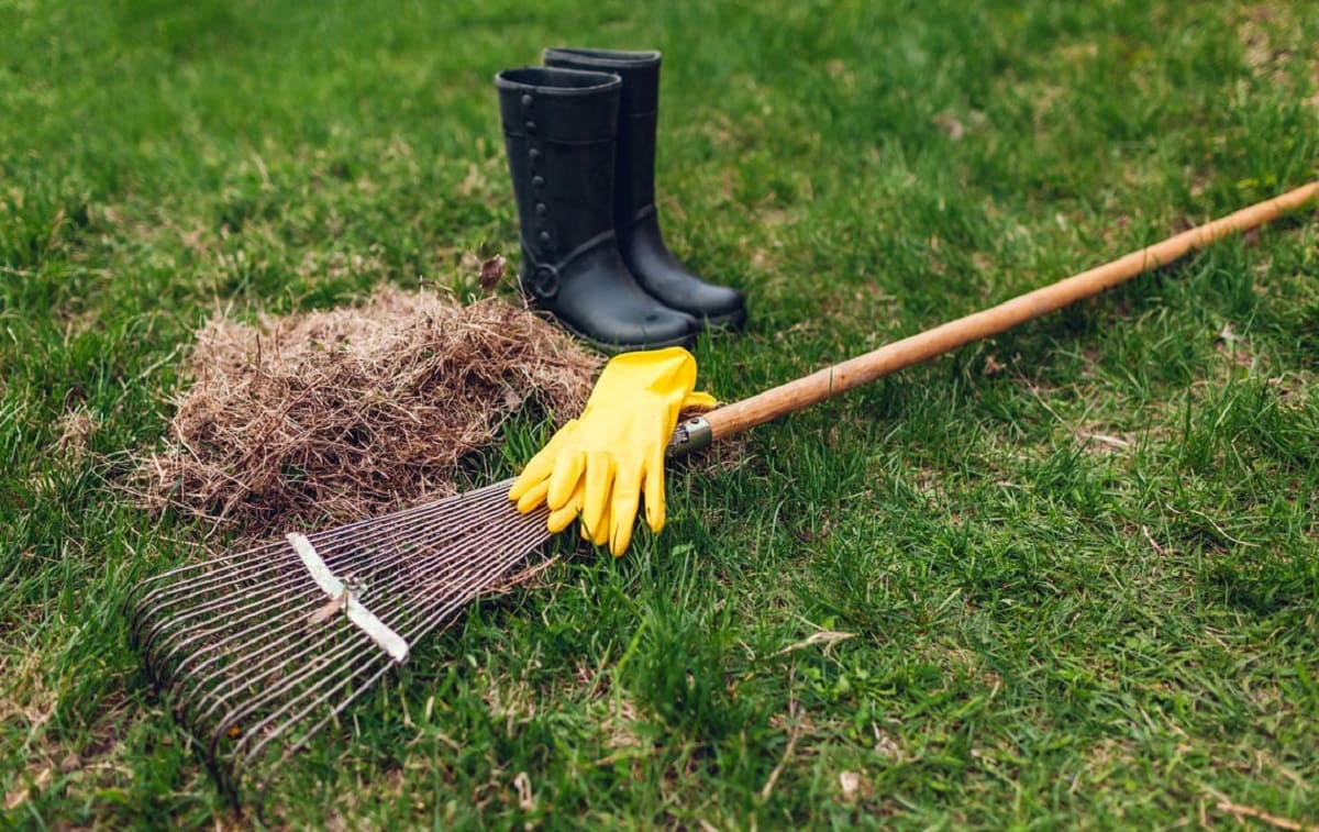 How To Get Lawn Care Leads