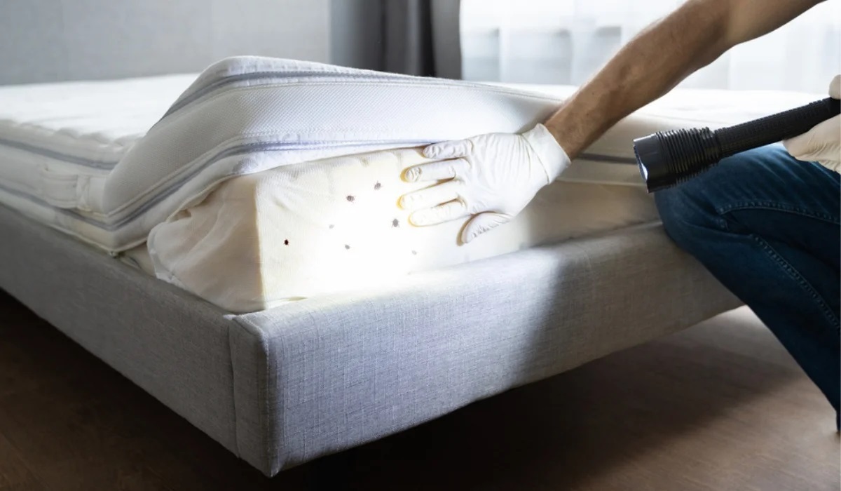How To Get Rid Of Bed Bugs On A Mattress