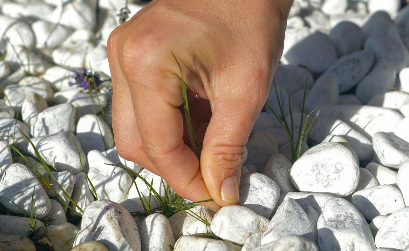 How To Get Weeds Out Of Rock Landscaping