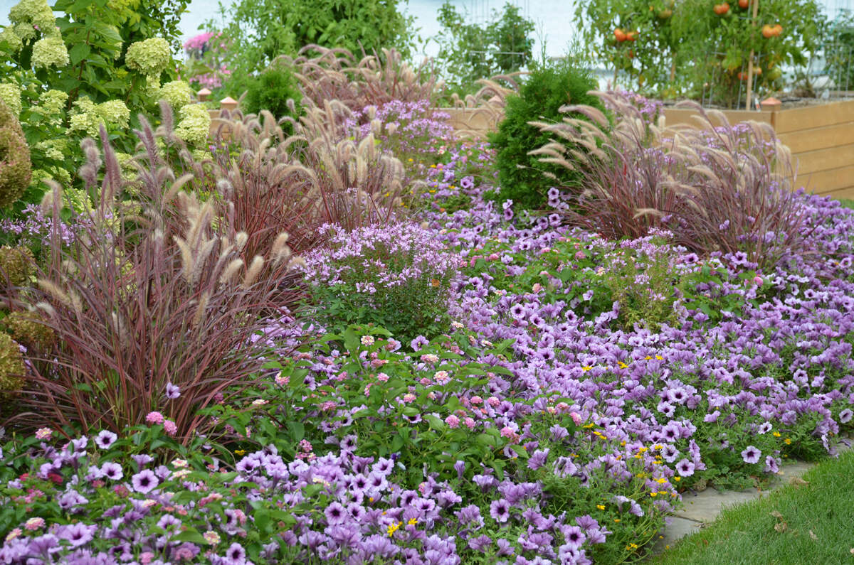 How To Group Plants In Landscaping