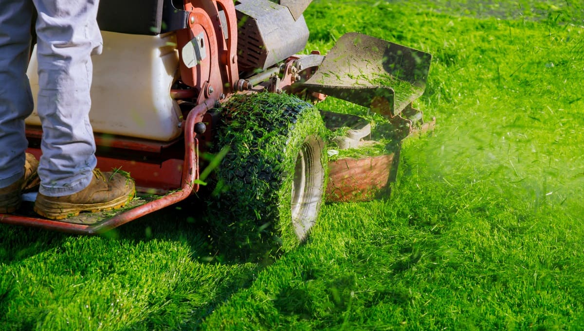 How To Grow My Lawn Care Business