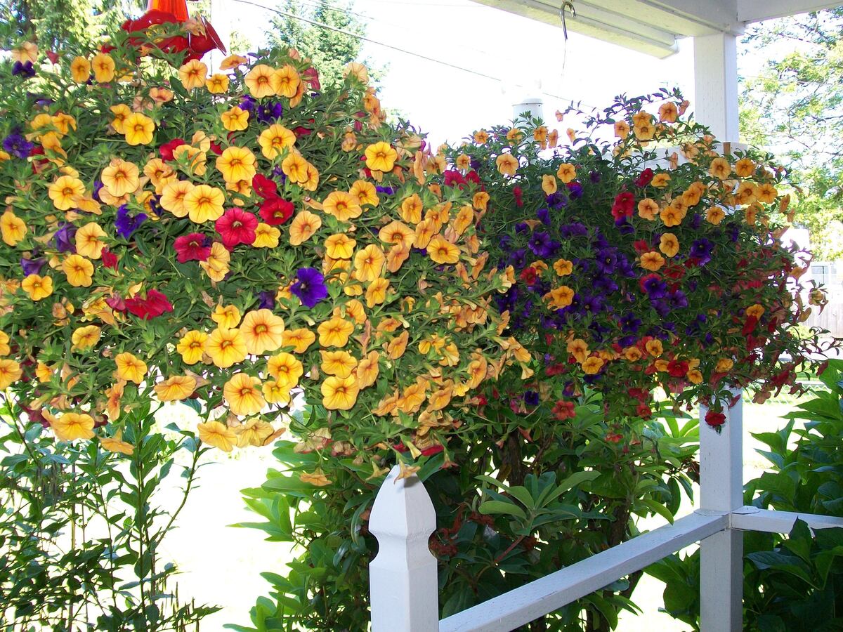 How To Hang Hanging Baskets From Porch