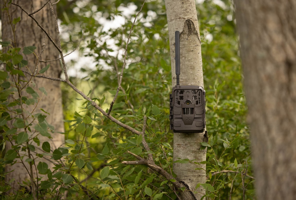 How To Hide A Trail Camera For Home Security