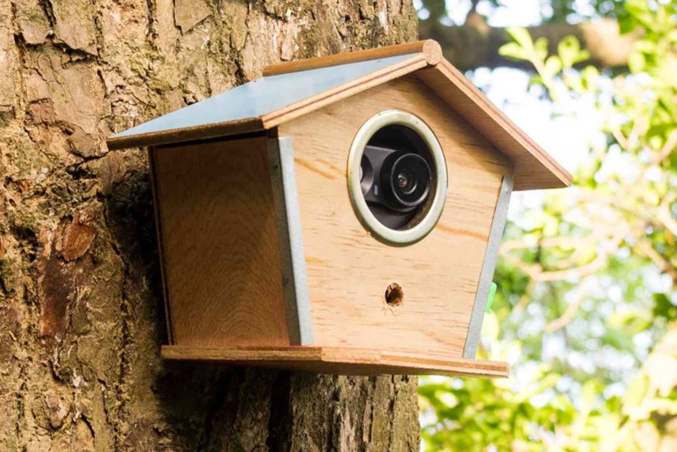 How To Hide An Outdoor Security Camera