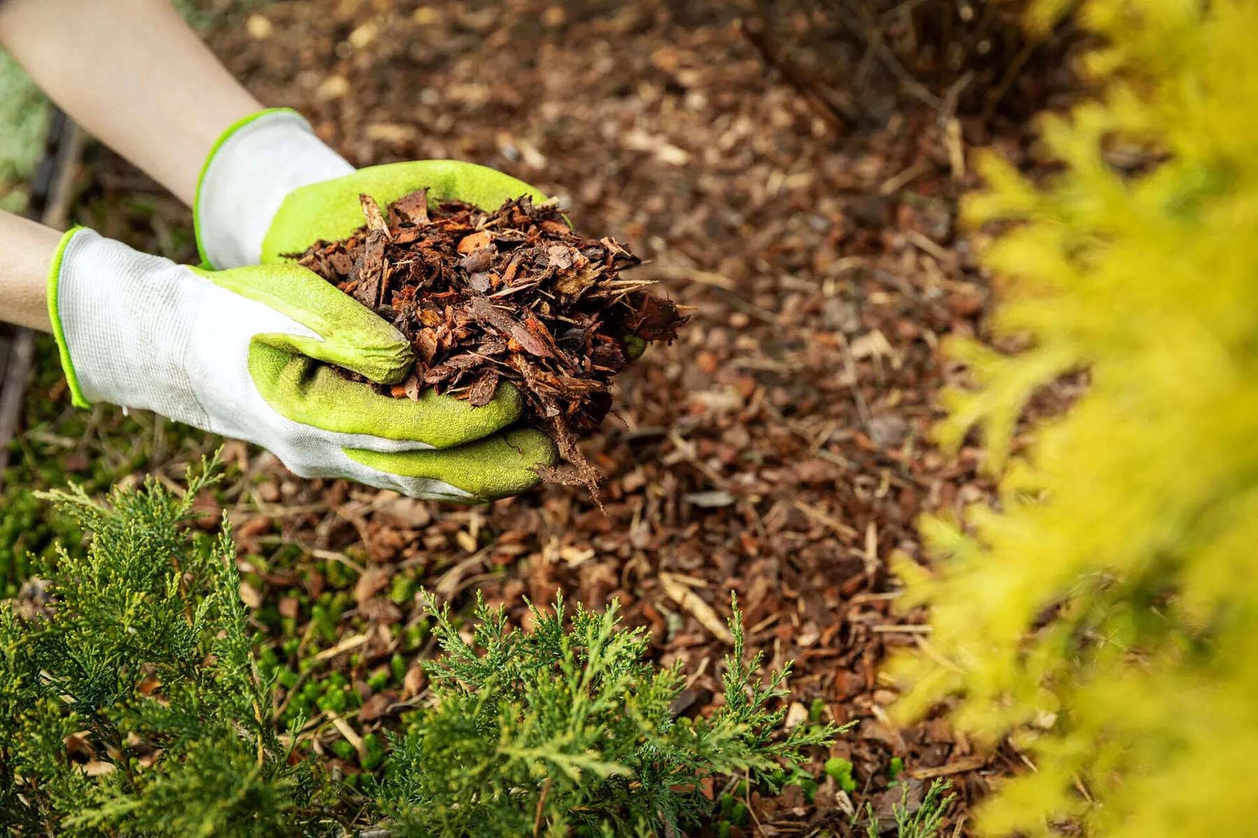 How To Install Bark As Ground Cover Mulch