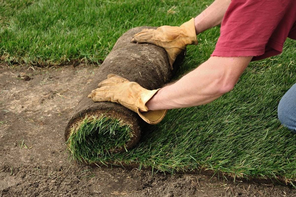 How To Install Turf On Dirt
